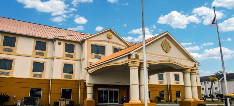 玛里亚纳 I-10 舒适套房酒店(Comfort Inn & Suites Marianna I-10)图片