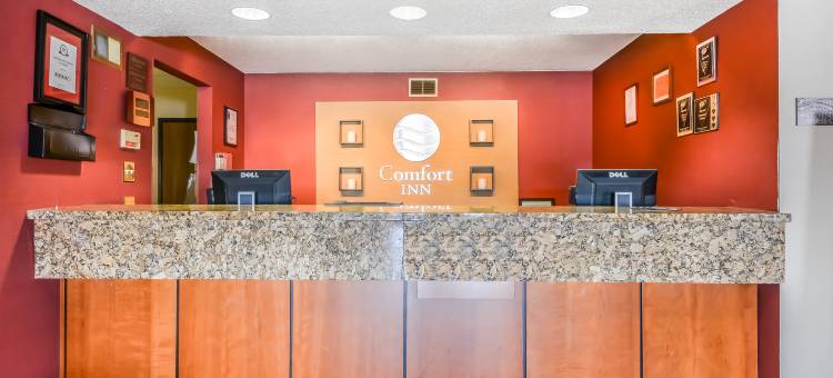 巴达维亚 - 达瑞恩主题乐园菲布丽套房旅店(FairBridge Inn & Suites Batavia-Darien Amusement Park)图片