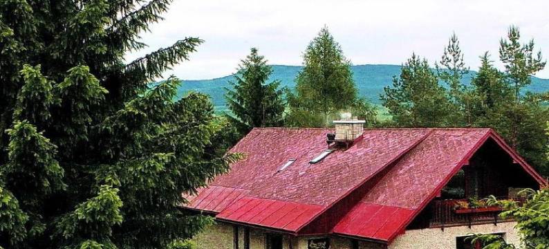 博尔住宿加早餐旅馆(Penzion Bor)图片