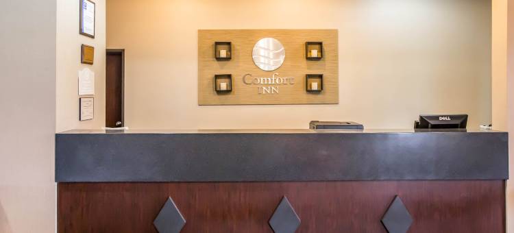 门多塔凯艺套房酒店 - 近 I-39(Quality Inn & Suites Mendota Near I-39)图片