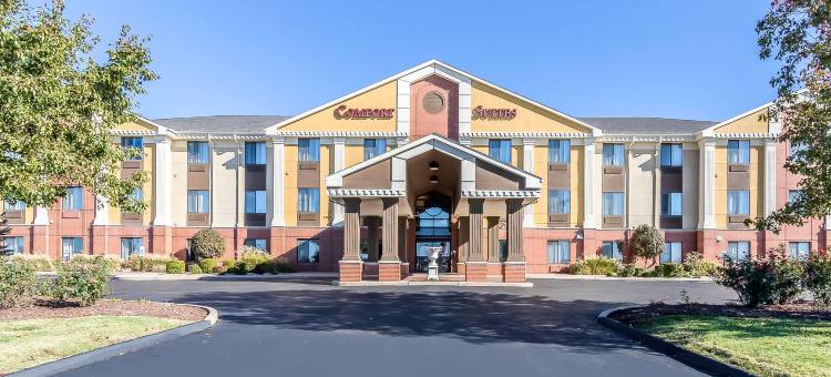 圣查尔斯舒适套房酒店-圣路易斯(Comfort Suites St Charles-St Louis)图片