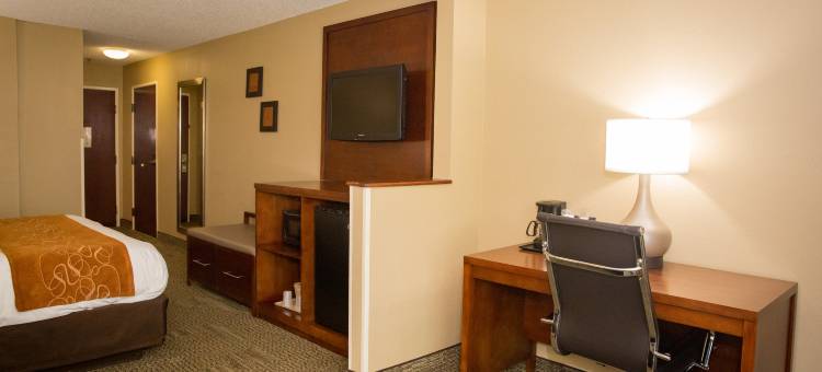 舒适套房酒店 - 近 I-80 及 I-94(Comfort Suites Near I-80 and I-94)图片