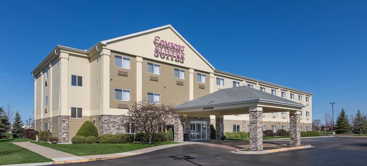萨吉诺北舒适套房酒店(Comfort Suites- Saginaw)图片