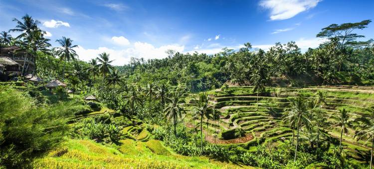 巴厘岛金巴兰艾美酒店(Le Meridien Bali Jimbaran)图片