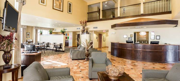 琼斯伯勒大学区舒适套房酒店(Comfort Suites Jonesboro University Area)图片