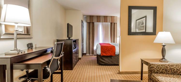 克林顿舒适套房酒店 - 近长老会学院(Comfort Suites Clinton Near Presbyterian College)图片