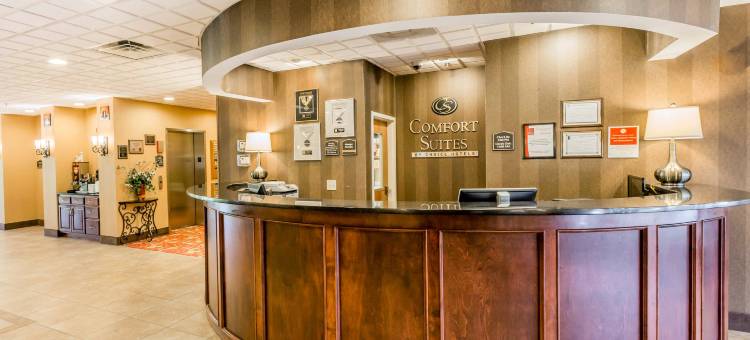 舒适套房酒店(Comfort Suites)图片