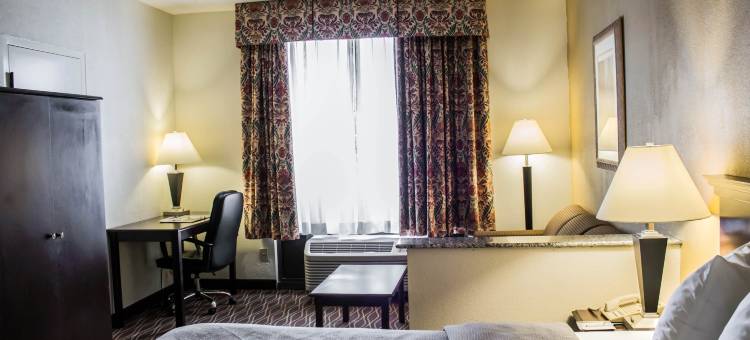 舒适套房酒店-近达拉姆杜克大学(Comfort Inn & Suites Durham Near Duke University)图片