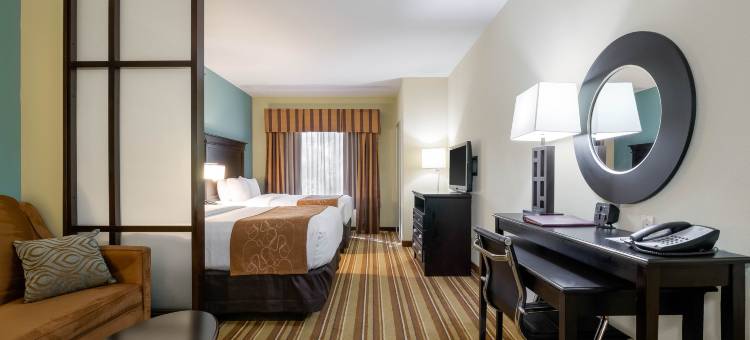托皮卡西北舒适套房酒店(Comfort Suites Topeka Northwest)图片