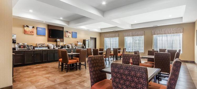 近伯特利学院舒适套房酒店(Comfort Inn & Suites Near Bethel College)图片