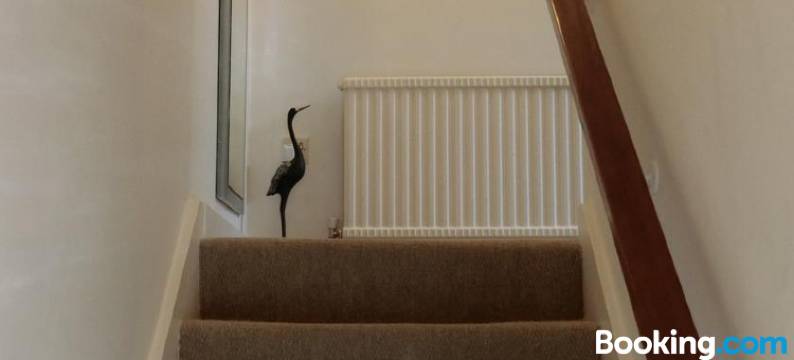 塔利萨恩避风港公寓(The Haven at Talysarn)图片