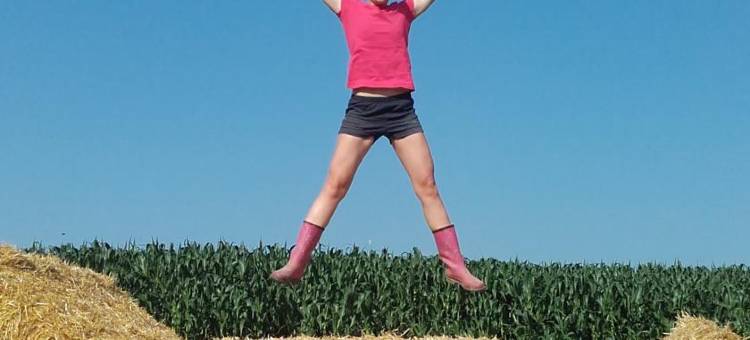 利普尼克公寓(Gästehaus Lipnik)图片