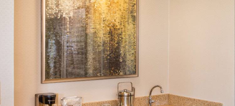 芝加哥埃尔克格罗夫喜来登套房酒店(Sheraton Suites Chicago Elk Grove)图片