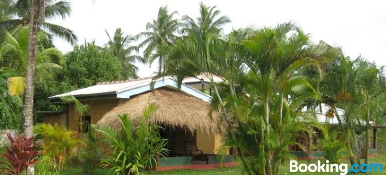 红树林别墅(Mangrove Villa - Yoga & Ayurveda)图片