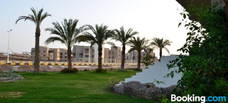 赫尔格达精英套房酒店(Elite Suites Hurghada)图片