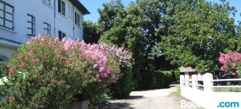 贝尔维尤酒店(Hotel Bellevue de Tradition Familiale)图片