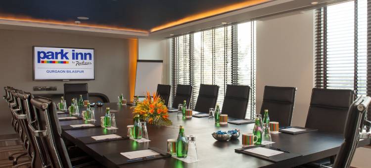比拉斯布尔丽柏酒店(Park Inn by Radisson Gurgaon Bilaspur)图片