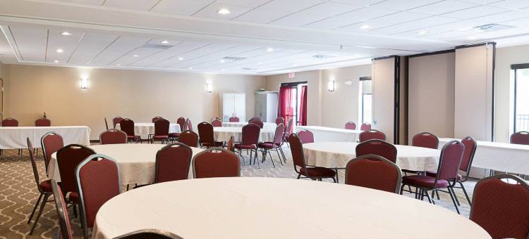 舒适套房酒店-桥港市克拉克斯堡(Comfort Suites Bridgeport - Clarksburg)图片