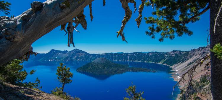 奥林匹克贝斯特韦斯特优质酒店(Best Western Plus Olympic Inn)图片