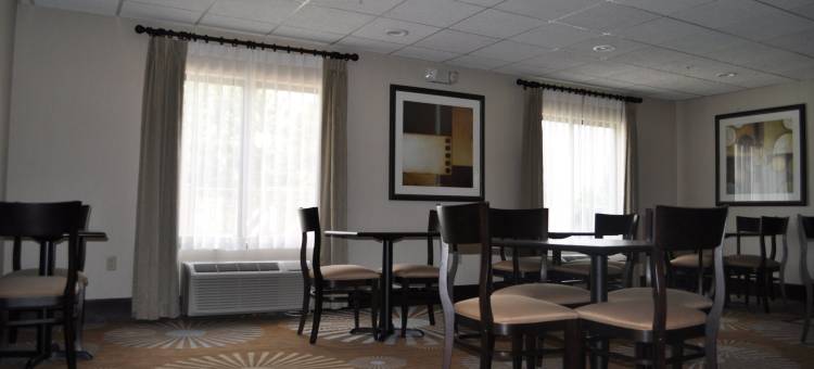 欧文斯伯勒凯机场格林菲尔德套房酒店(Greenfield Inn & Suites Owensboro, KY Airport)图片
