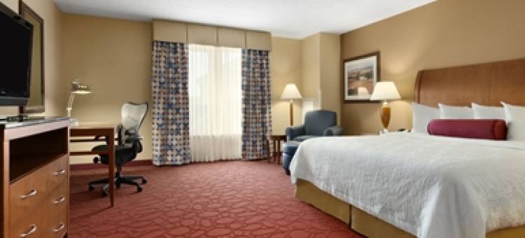奥黑尔机场希尔顿花园酒店(Hilton Garden Inn Chicago O'Hare Airport)图片