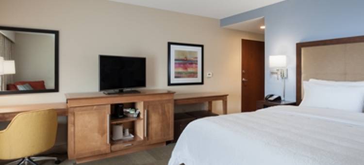 希尔顿欢朋套房酒店-洛诺克(Hampton Inn & Suites Lonoke)图片