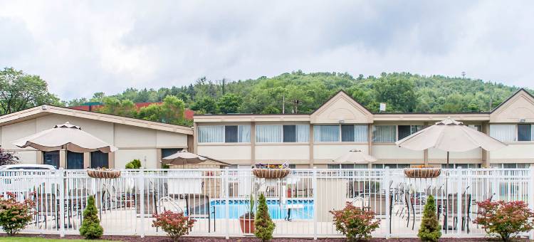 维斯塔尔宾汉顿近大学凯艺套房酒店(Quality Inn & Suites Vestal Binghamton Near University)图片