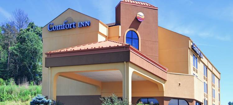 阿什维尔北部舒适酒店(Comfort Inn North of Asheville)图片