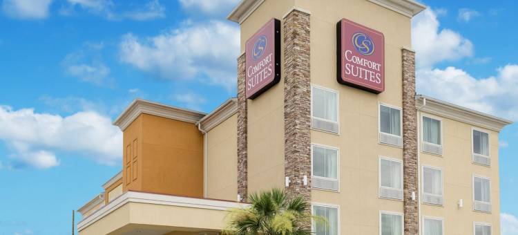 舒适套房酒店-哈维-新奥尔良西(Comfort Suites Harvey - New Orleans West)图片