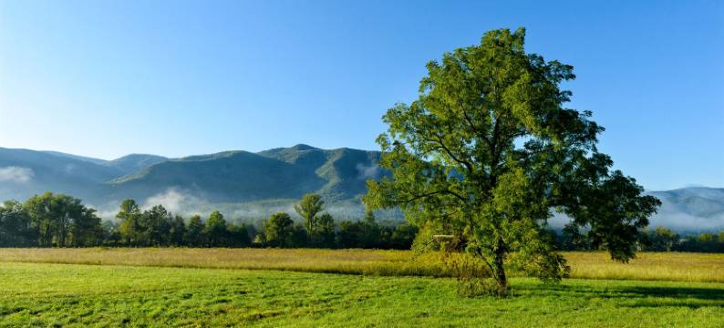 河畔会议中心度假村(River Terrace Resort & Convention Center)图片