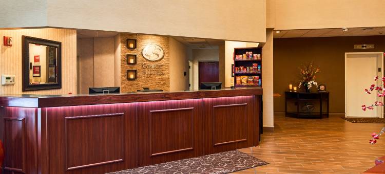 舒适套房酒店-近宾夕法尼亚州立大学(Comfort Suites Near Penn State - State College, PA)图片