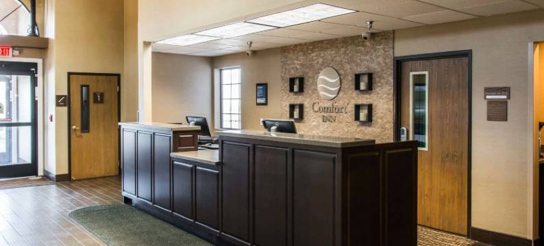 拉丁顿智选假日酒店(Comfort Inn Ludington Near US-10)图片