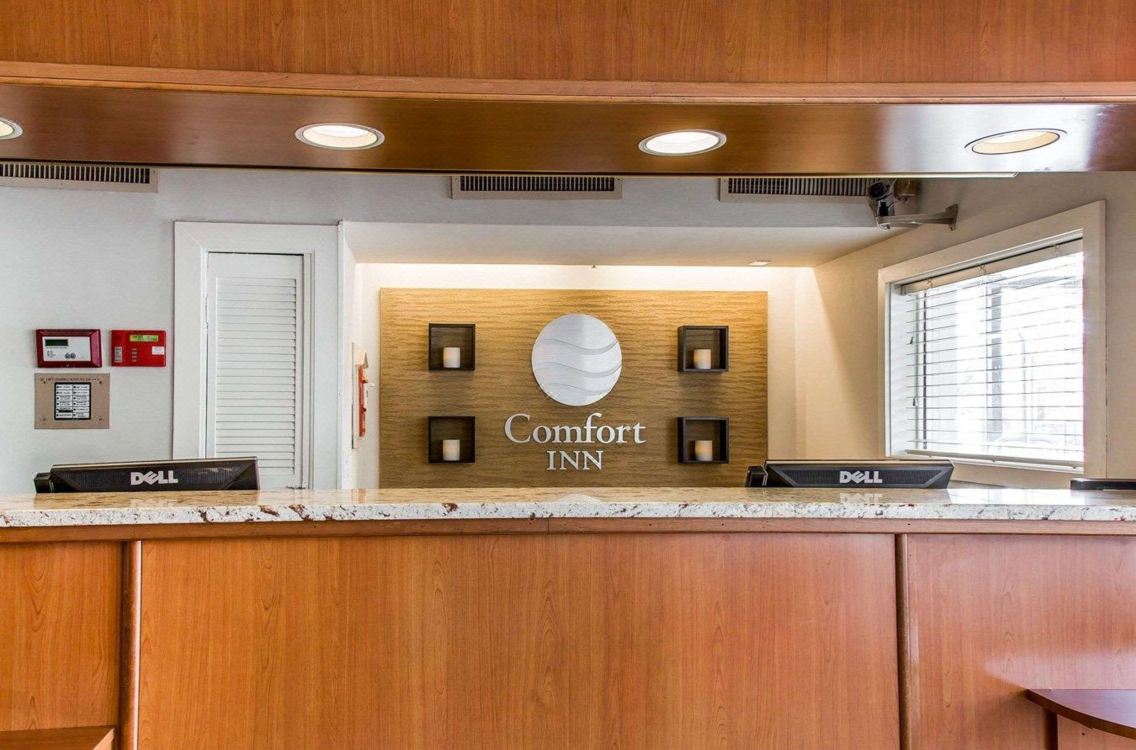 Comfort Inn Boston Hotel Reviews And Room Rates