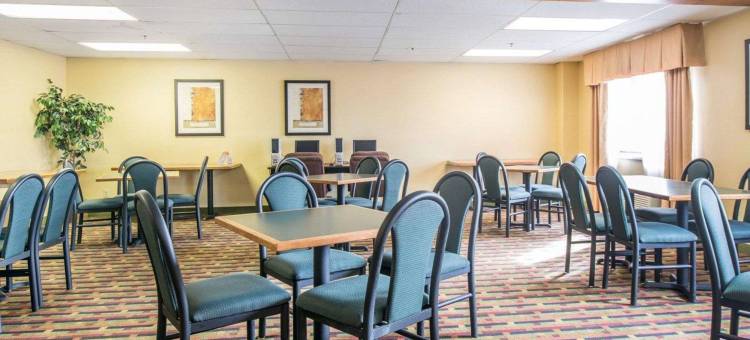 品质酒店机场店(Quality Inn Airport)图片