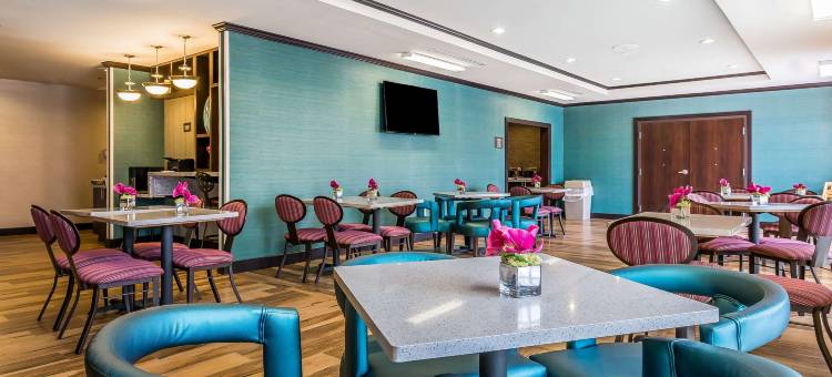 纽卡斯尔俄克拉荷马城舒适酒店(Comfort Inn & Suites Newcastle - Oklahoma City)图片