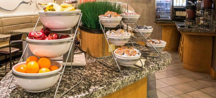 舒适套房酒店(Comfort Suites)图片