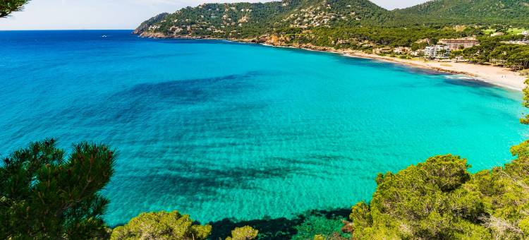 帕尔克亚特马略卡岛(Cap Vermell Grand Hotel)图片