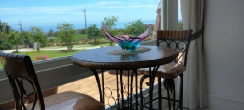 上善德雅花园民宿图片