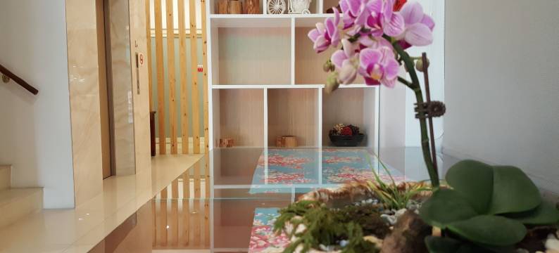 南投日月潭泽瑚民宿图片