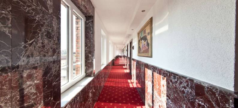 多特蒙德中央站特色酒店(Hotel Unique Dortmund Hauptbahnhof)图片