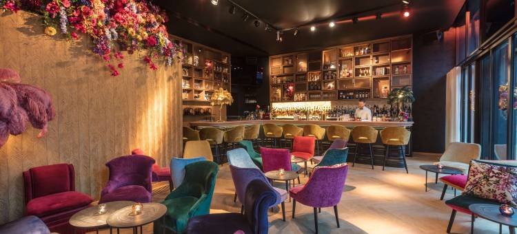 达米耶科特赖克酒店(Hotel Damier)图片