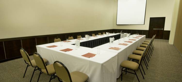 节日快捷酒店 奥布雷贡市(Fiesta Inn Express Ciudad Obregón)图片