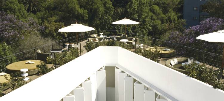 DF康德萨，Design Hotels™设计酒店成员(Condesa df, Mexico City, a Member of Design Hotels)图片