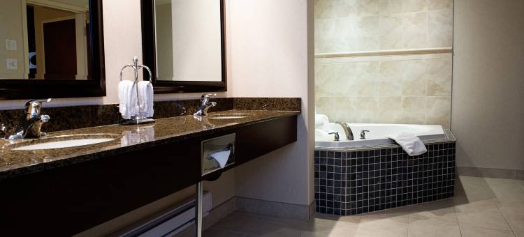 Holiday Inn & Suites 西埃德蒙顿(Holiday Inn & Suites West Edmonton)图片