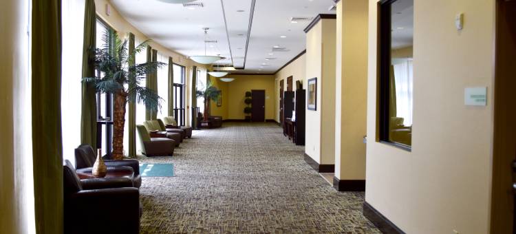 Holiday Inn 侯能源走廊埃尔德里奇(Holiday Inn Hou Energy Corridor Eldridge)图片