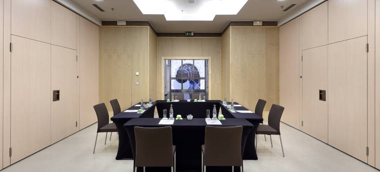 塔利亚欧洲之星酒店(Eurostars Thalia)图片