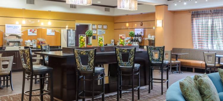 智选假日套房酒店达拉斯西(Holiday Inn Express & Suites Dallas W - I-30 Cockrell Hill)图片