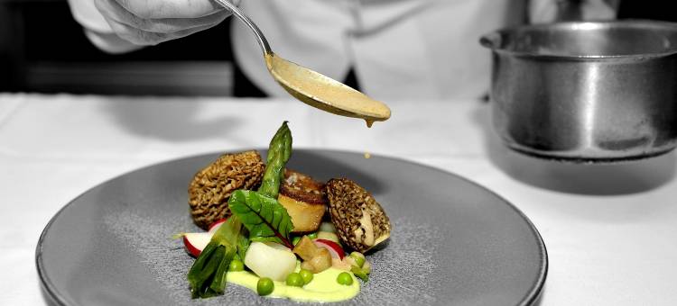 梅迪奇斯酒店(Logis Hôtel Restaurant le Medicis)图片