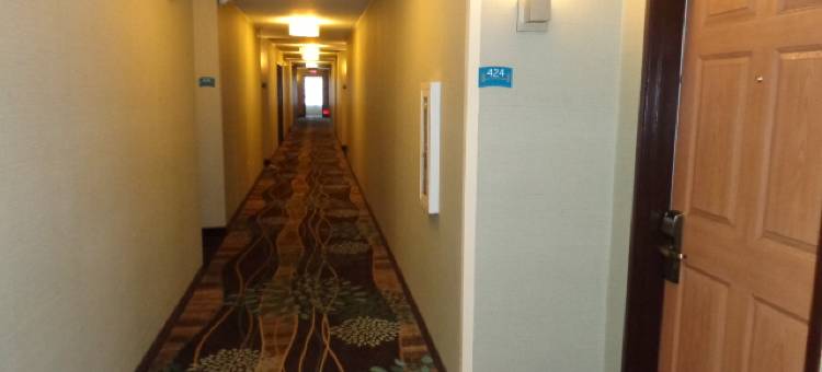 Staybridge Suites CO弹簧 - 空军学院(Staybridge Suites Colorado Springs North)图片