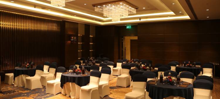 新德里机场城傲世广场酒店(Pride Plaza Hotel, Aerocity New Delhi)图片